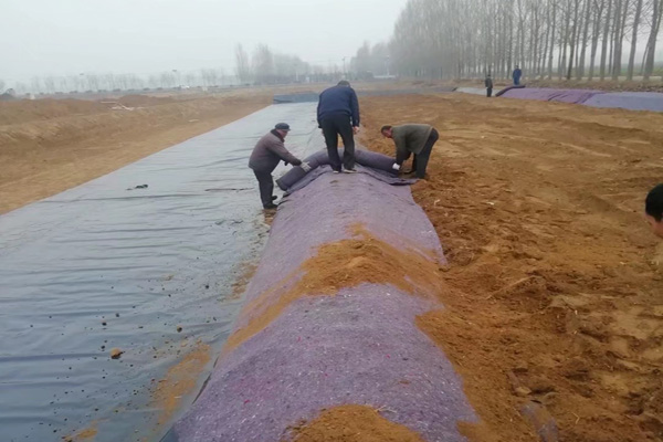 香蕉视频网站污在雨季铺设的注意事项